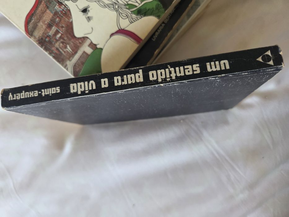 Um raio de sol na água fria