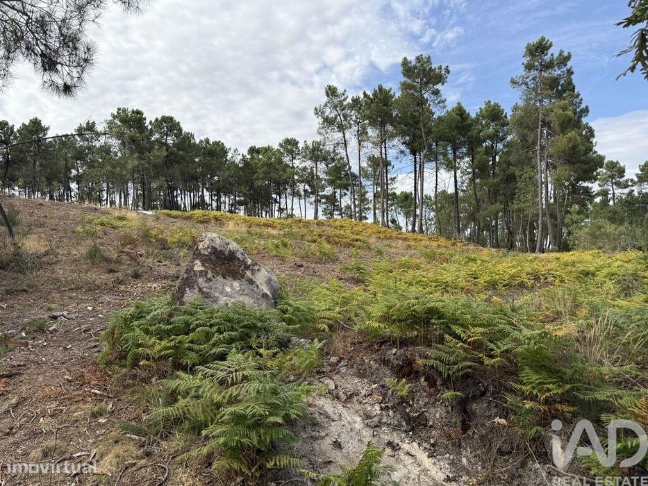 Terreno para construção em Mouçós e Lamares de 3484,00 m2