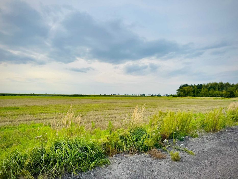 Działka budowlana 1147 m² Czubin – spokojna okolica, 5 km od Błonia, MPZP - Widok 4