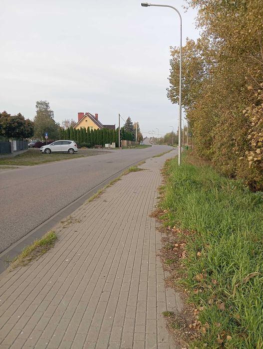 Działka budowlana Cieplewo (Pruszcz Gdański) - Widok 2