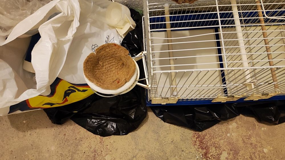 Gaiolas para pássaros