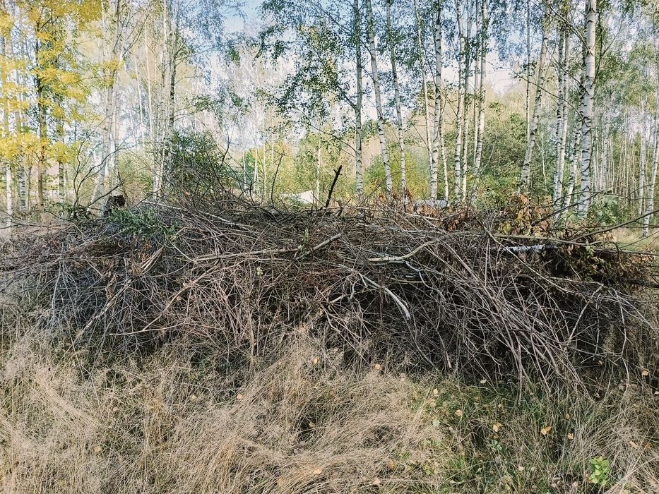 Oddam chrust za darmo