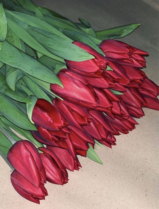 Тюльпан опт/розница