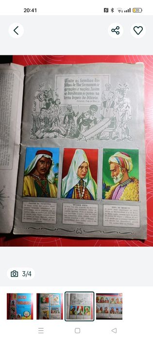 Raças Humanas, 2° série