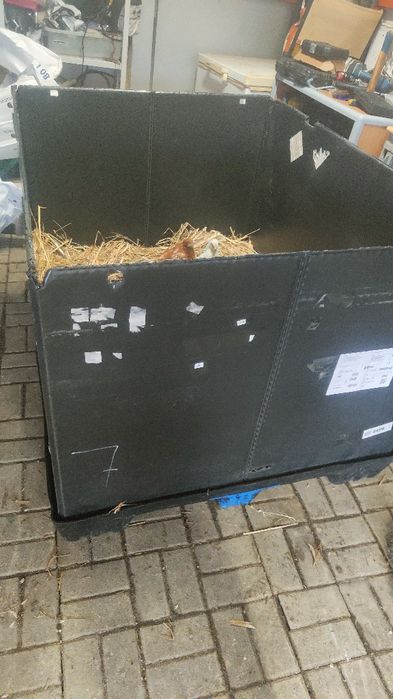 Caixa PVC contentor abrigo jardim
