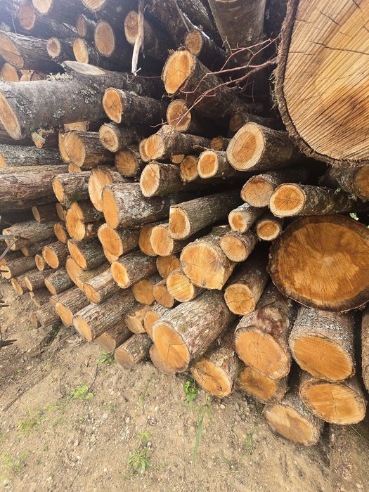 Sprzedam drewno opałowe połupane kominkowe popiłowane pocięte darmowy dowóz