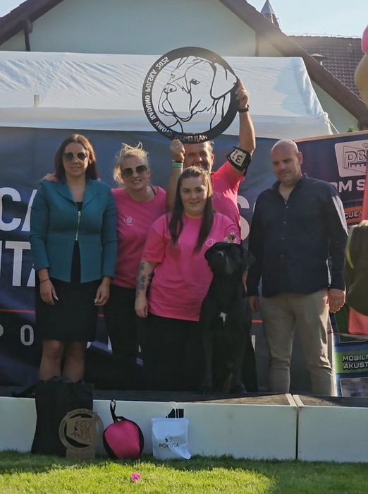 CANE CORSO pies z Najlepszej  Hodowli In Verto Corso FCI