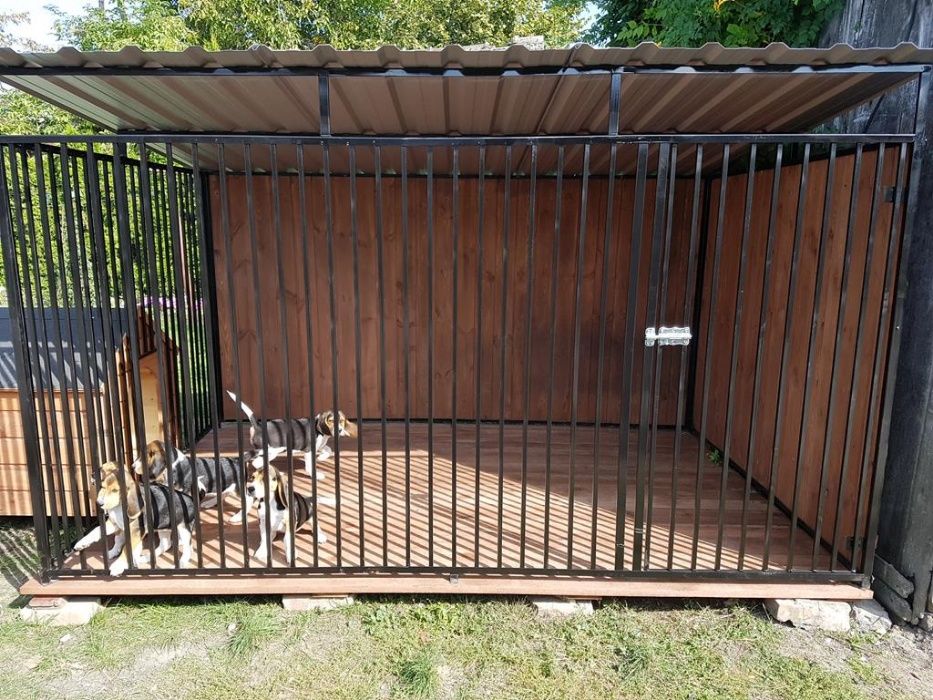 Kojec Klatka Zagroda Buda dla psa 3mx2m Montaż Gratis