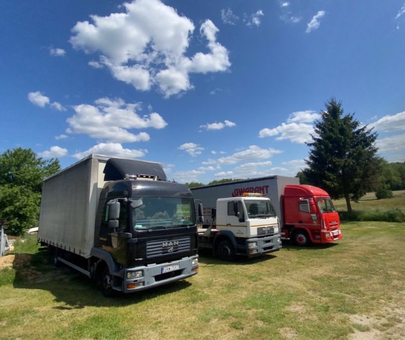 Usługi Transportowe  Pomoc Drogowa, Laweta, Solówka 20 palet. 24h/7