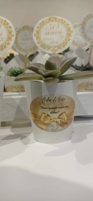 Suculentas personalizadas