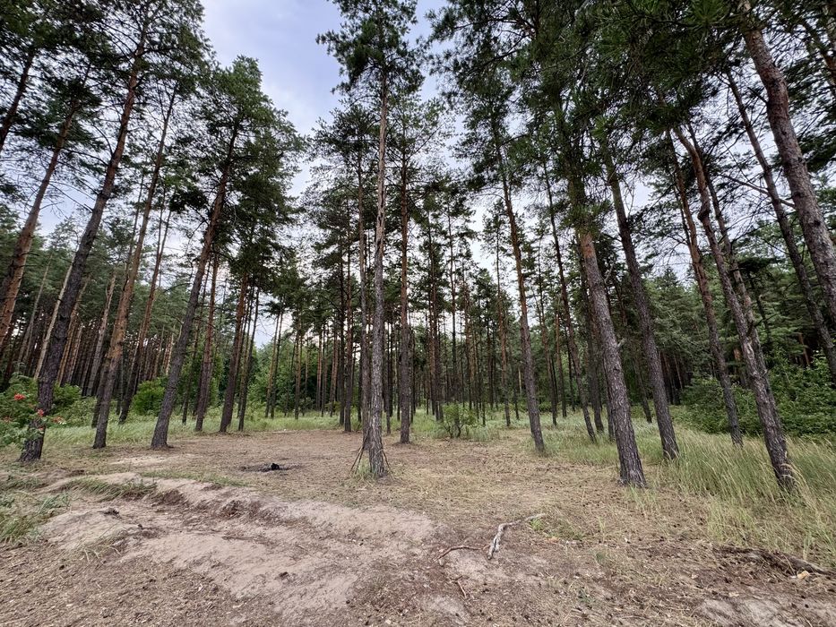 Продаж ділянки від 40 соток до 10Га. с. Ясногородка Киівська область