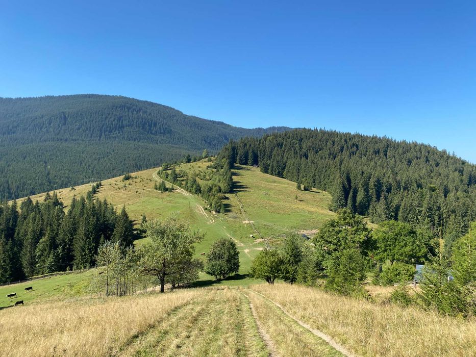 Земля під екопоселення 26 гектарівів