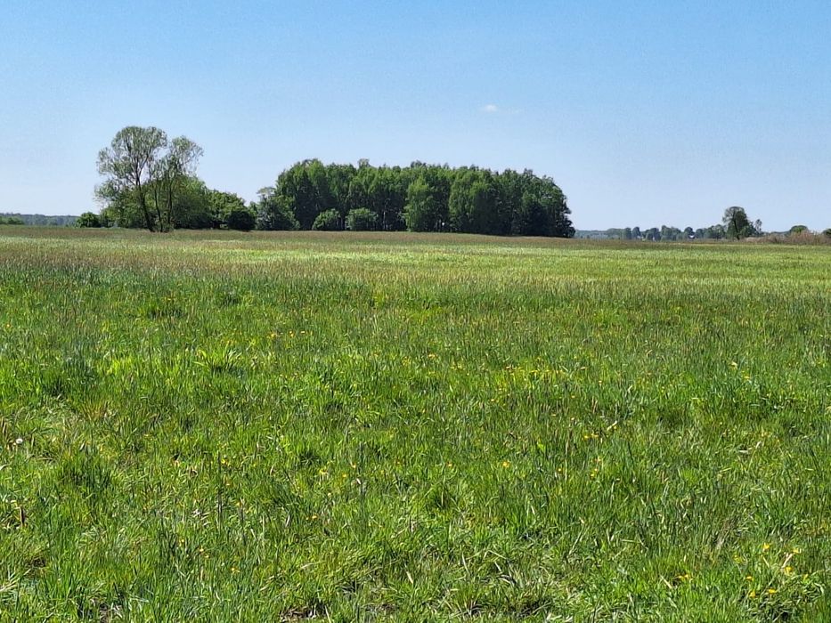 Działka Łąka Pastwisko Ortel Książęcy