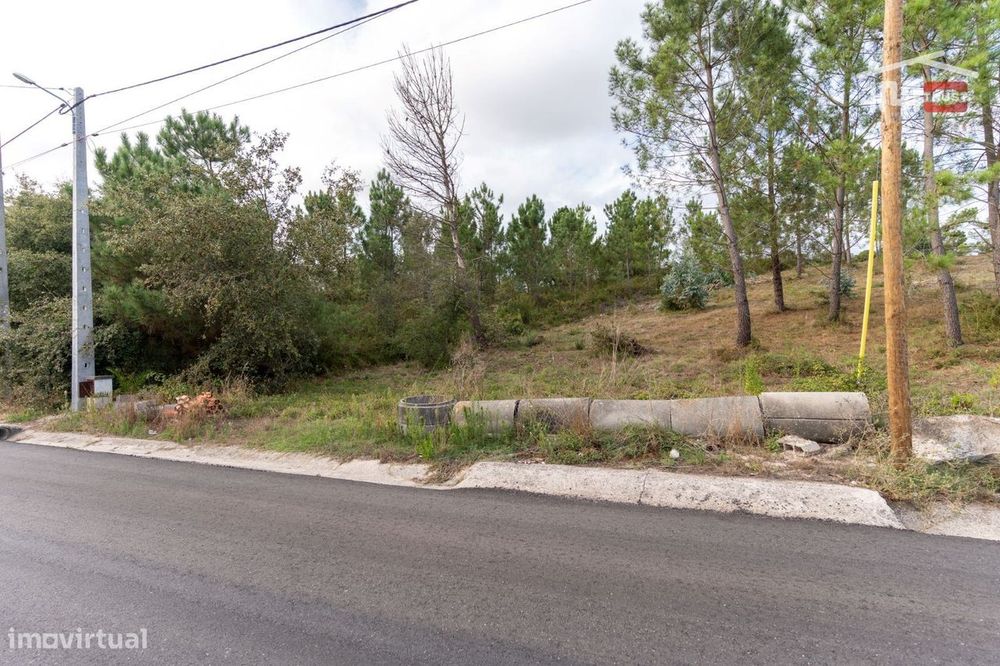 Terreno Rústico com Viabilidade de Construção em Juncal