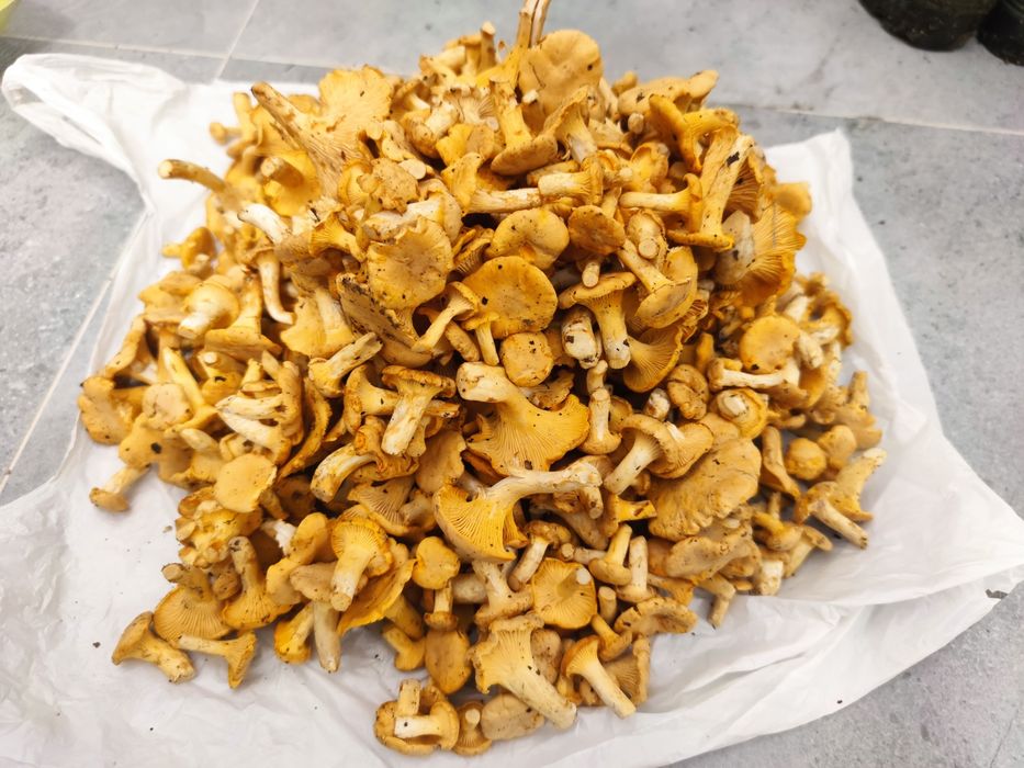 Kurki 2,5kg dla p.Moniki