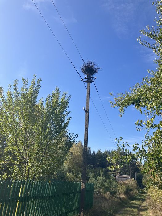 Продаж дачноі ділянки