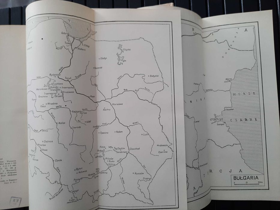 Słowiański rodowód - Paweł Jasienica