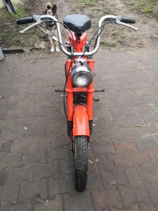 Romet kadet na chodzie