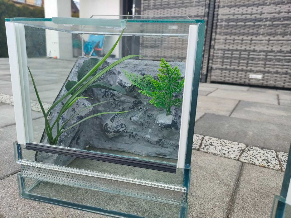 Terrarium M1 dla pająka, ptasznik, skorpion 20x18x20