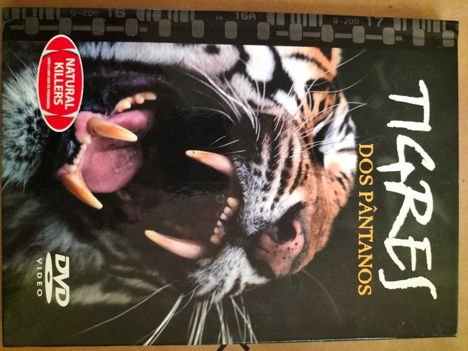 DVD " Tigres do pântano"