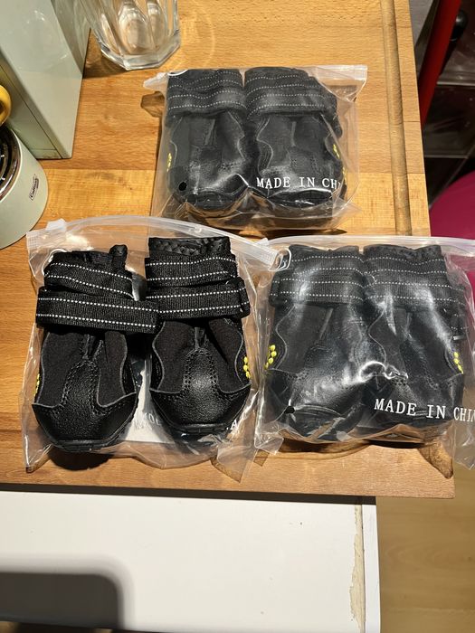 botas protetoras para cães