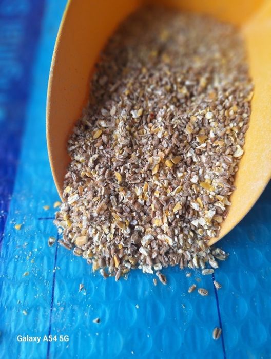 Mieszanka Pszenica-Kukurydza Gnieciona25kg