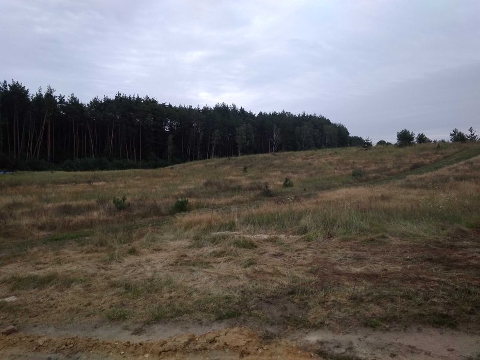 Sprzedam dwie działki rolne