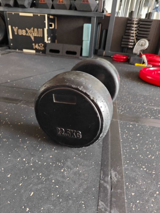 Haltere emborrachado 22,5 kg