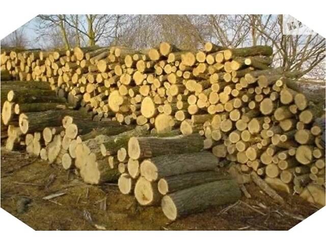 схвалено о л х ,акация,дуб,сосна,тополь