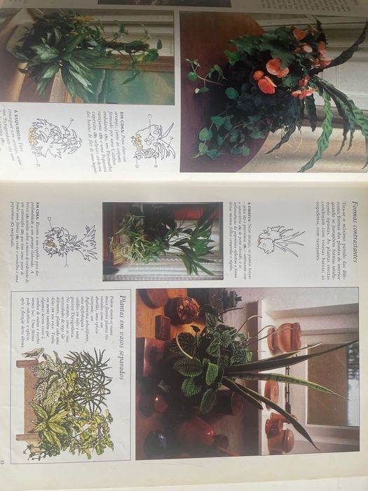 O grande Livro das plantas do interior 1982