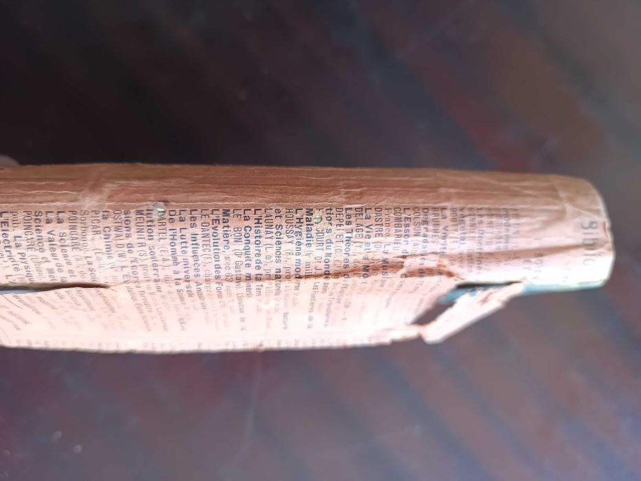 LE RÊVE - Émile Zola