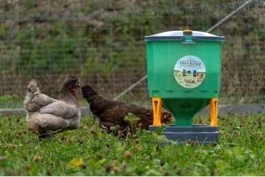 Karmidło dla kur automatyczne KOLOSS z zasobnikiem 35 kg i 25 kg