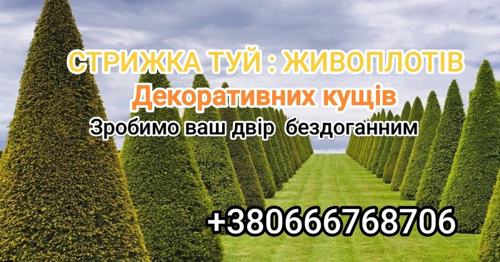 Стрижка туй , стрижка кущів, догляд.