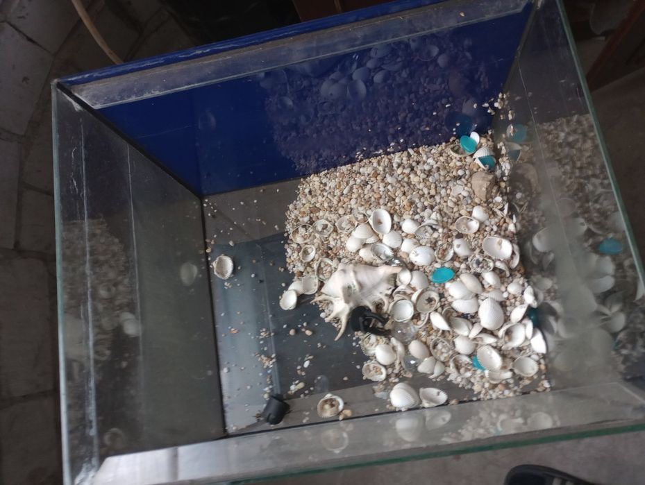 Акваріум. Цілий.