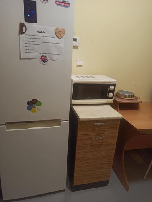 Pokój do wynajęcia