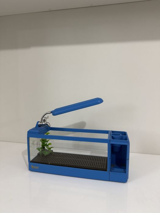 Mini aquário para peixes