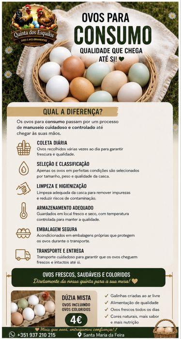 Vendo ovos para incubação e consumo proprio