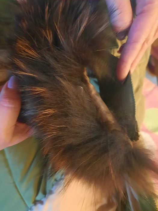 Пуховик Монклер новый, оливкового цвета, размер XL, натуральный пух