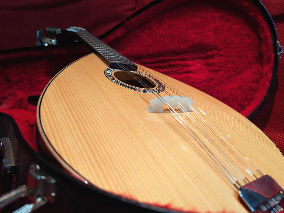 Bandolim Português Artimúsica BD40TC