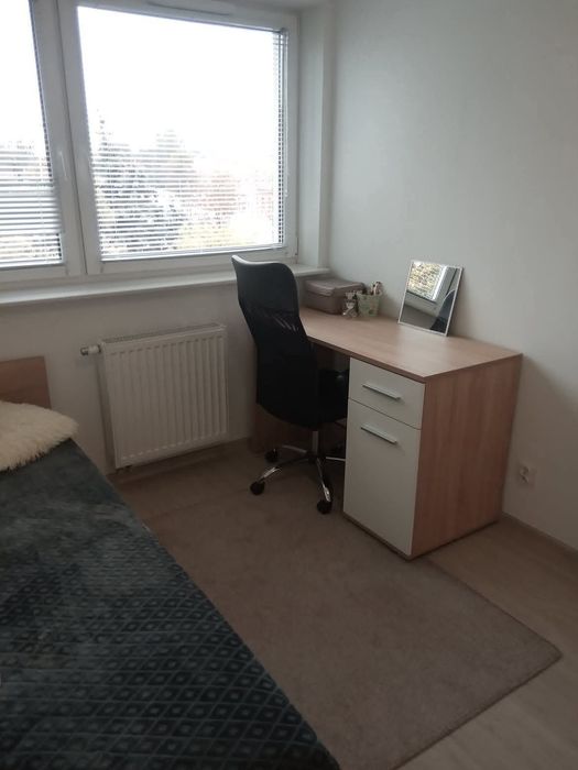 Zdjęcie 8