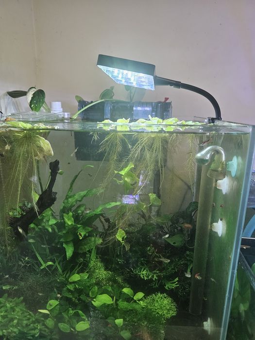 Calha luz para aquario mini 9 pro week Aqua