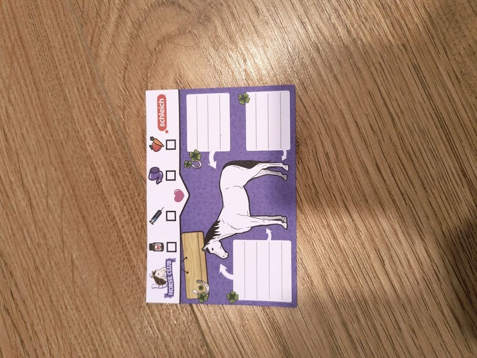 Zestaw Schleich myjnia dla konia