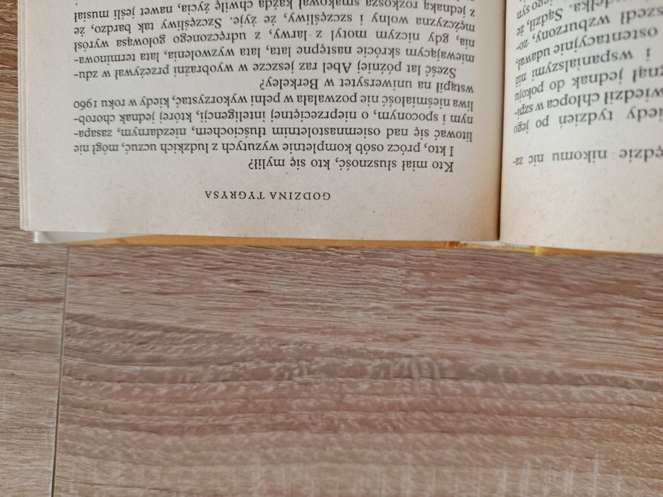 Godzina Tygrysa - Leger