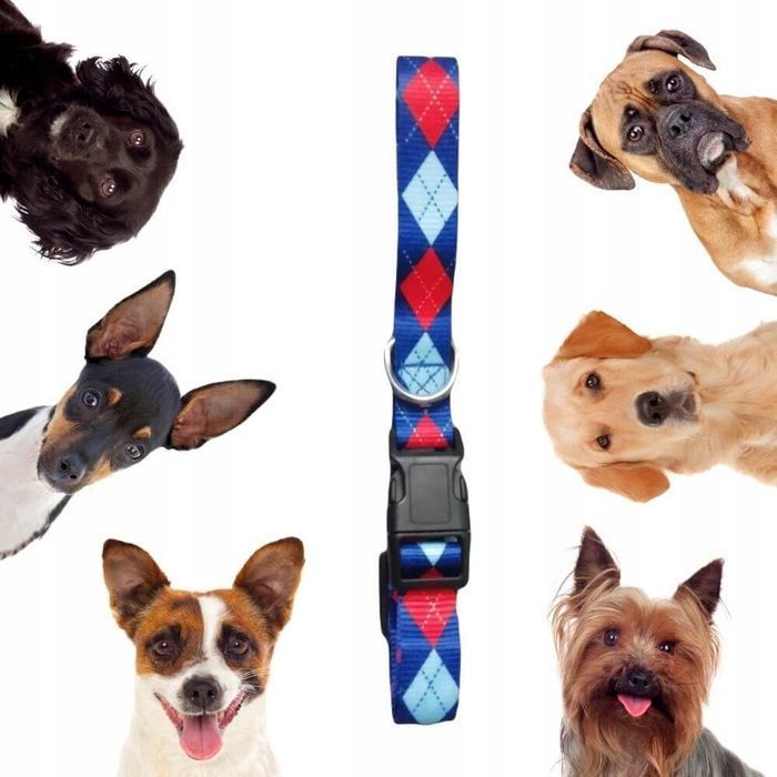 Obroża Materiałowa dla Małego Psa Piesków Szczeniaka Suczki Niebieska