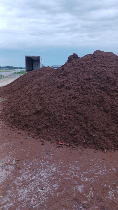 Torf Litewski do Borówki torf kwaśny luz ruchoma podłoga Borówka berry