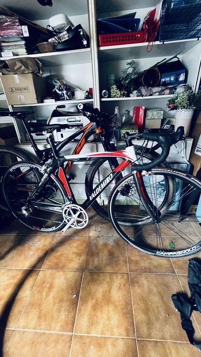 Bicicleta estrada carbon t(52)