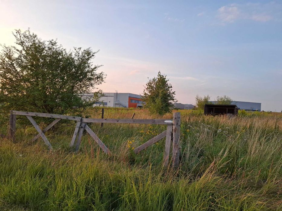 Działka w Skarbimierzycach na sprzedaż - Widok 2