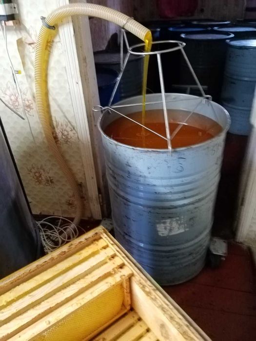 Продам соняшниковий мед з різнотравям