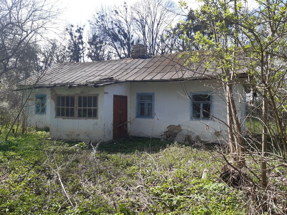 Земельна ділянка з будинком в с.Плужне Хмельницька область