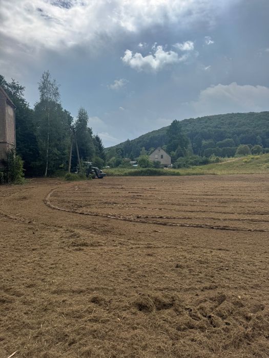Rekultywacja usuwanie zadrzewień mulczowanie